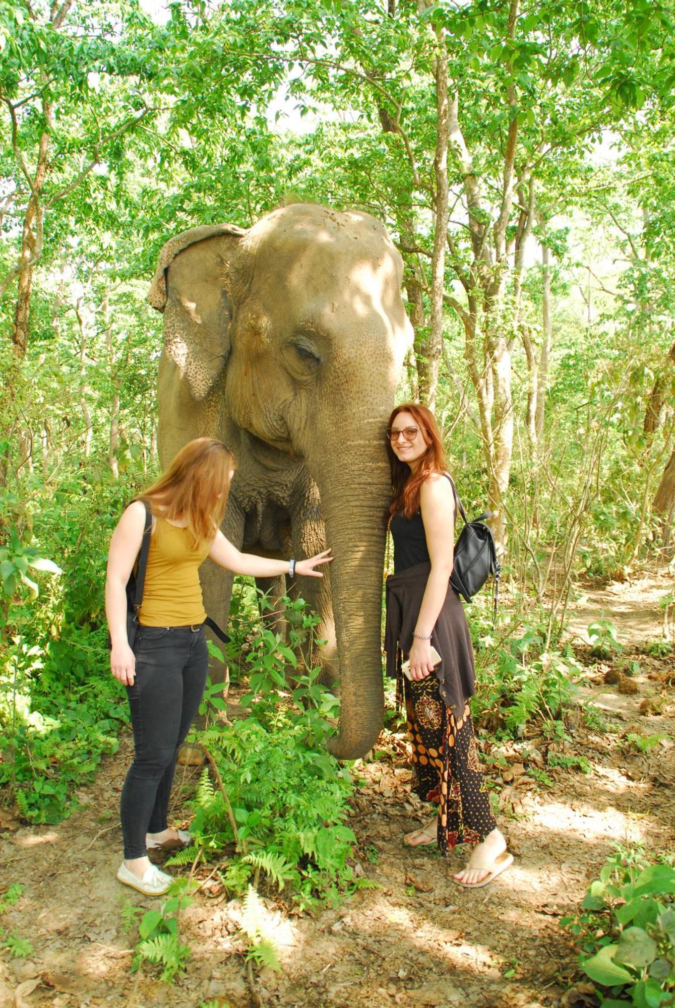 Hotel Garden Of Dreams Sauraha Eksteriør billede