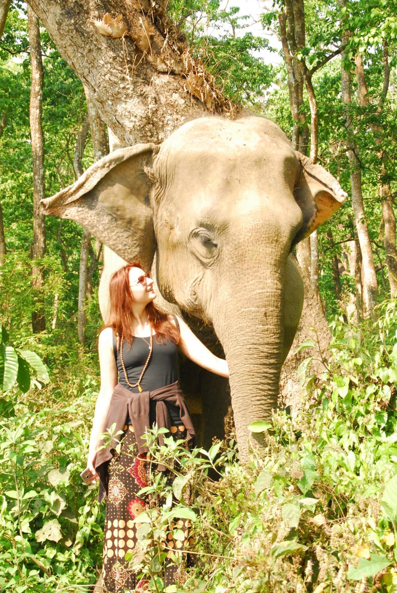 Hotel Garden Of Dreams Sauraha Eksteriør billede