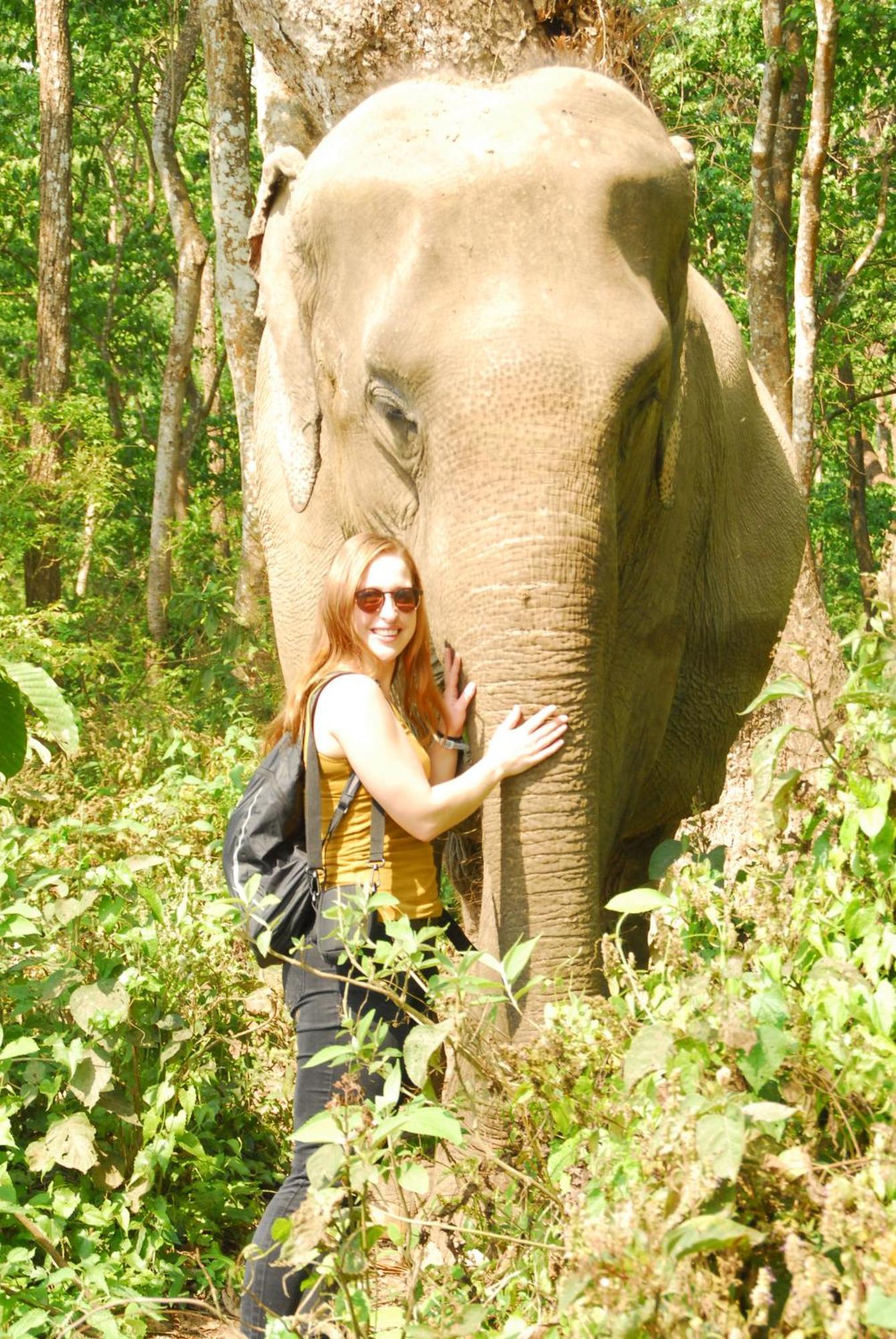 Hotel Garden Of Dreams Sauraha Eksteriør billede