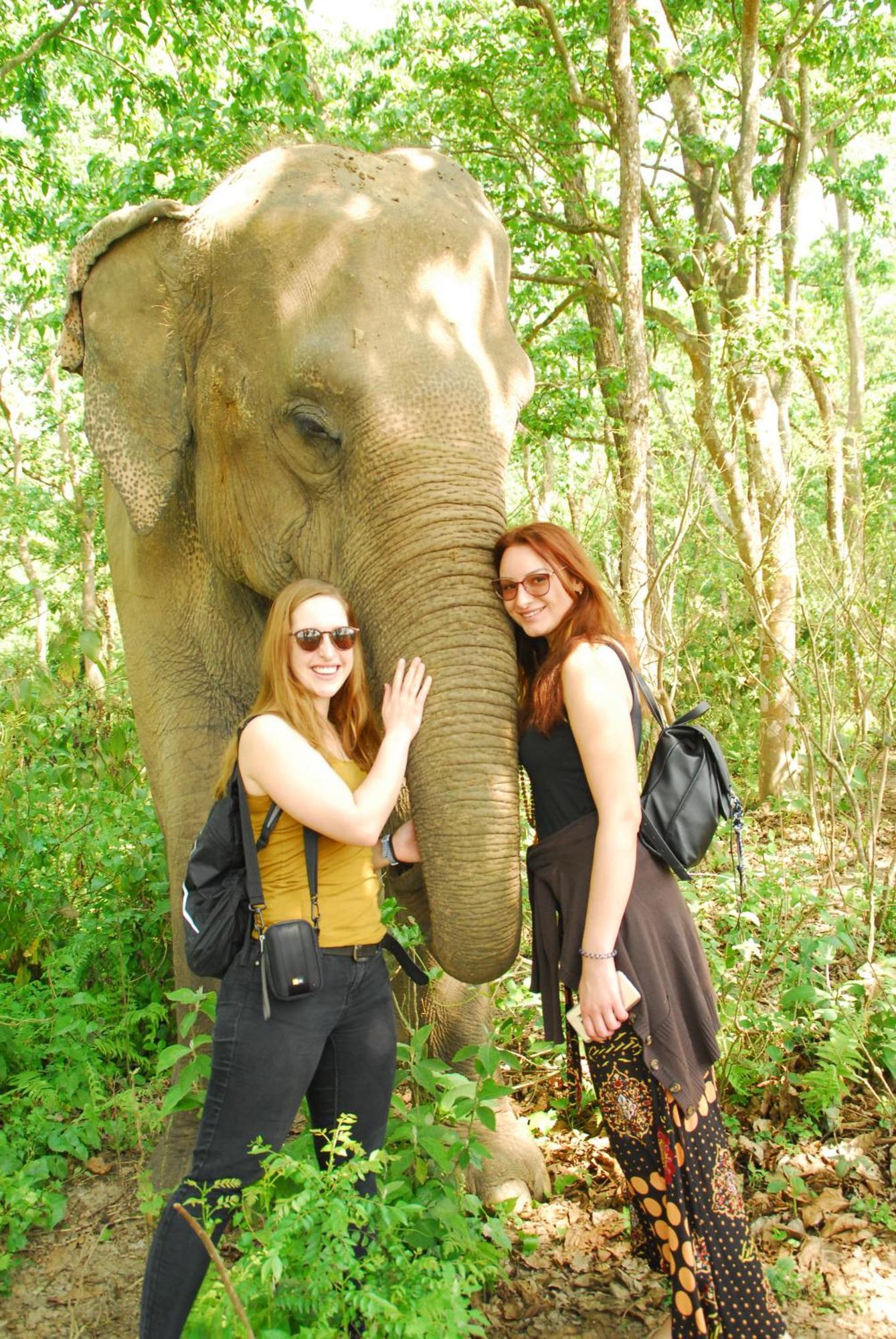 Hotel Garden Of Dreams Sauraha Eksteriør billede